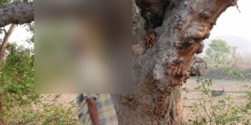 Saraikela-Rajnagar-Theft : राजनगर के बड़ाकांकी में ट्रांसफार्मर से क्वायल की चोरी, ग्रामीण अंधेरे में रहने को विवश Saraikela-Rajnagar-Theft : राजनगर के बड़ाकांकी में ट्रांसफार्मर से क्वायल की चोरी, ग्रामीण अंधेरे में रहने को विवश