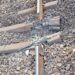 BIG-breaking-railway-attacked-by-naxal-चाईबासा से बड़ी खबर, हावड़ा-मुंबई मुख्य रेल मार्ग के लोटापहाड़ सोनुवा के बीच नक्सलियों नें उड़ाया रेल पटरी, ट्रेनों का परिचालन बाधित, बड़ी घटना होते-होते बचा BIG-breaking-railway-attacked-by-naxal-चाईबासा से बड़ी खबर, हावड़ा-मुंबई मुख्य रेल मार्ग के लोटापहाड़ सोनुवा के बीच नक्सलियों नें उड़ाया रेल पटरी, ट्रेनों का परिचालन बाधित, बड़ी घटना होते-होते बचा
