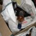 jamshedpur-illegal-wine-seized-मानगो पुलिस ने भी नशे को लेकर की छापेमारी, एक पेटी अवैध शराब समेत गुटखा बरामद, सीतारामडेरा में भी हुई है रिकवरी