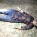 saraikela-drowning-case-जमशेदपुर से सटे राजनगर में खरकई नदी में डूबने से माँ, बेटा और बेटी की मौत, बेटे की लाश की तलाश, माँ-बेटी का शव बरामद