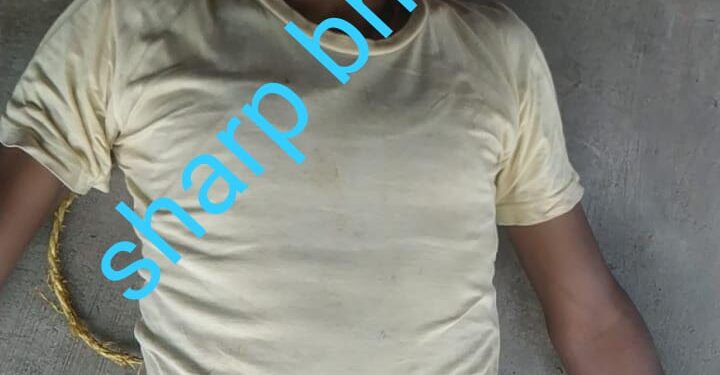 jamshedpur-suicide-परसुडीह में एक व्यक्ति ने की आत्महत्या, घर बनाने का पैसा जुगाड़ नहीं हो पाया तो कर ली सुसाइड jamshedpur-suicide-परसुडीह में एक व्यक्ति ने की आत्महत्या, घर बनाने का पैसा जुगाड़ नहीं हो पाया तो कर ली सुसाइड