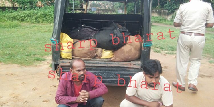jamshedpur-animal-flesh-black-marketing-मानगो में एक टेम्पो गौमांस के साथ दो धराये, हिन्दू युवा वाहिनी ने पकड़कर पुलिस को सौंपा jamshedpur-animal-flesh-black-marketing-मानगो में एक टेम्पो गौमांस के साथ दो धराये, हिन्दू युवा वाहिनी ने पकड़कर पुलिस को सौंपा