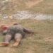 saraikela-murder-सरायकेला में युवक की हत्या, घर से कुछ दूर खेत मे मिली क्षत-विक्षत लाश, पहले गोली मारी, फिर काटकर शव को फेंक दिया