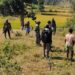 Chakradharpur : प्राकृतिक मार से केंदू पत्ता संग्रह करने वाले मजदूर व ठेकेदार दोनों ही परेशान, 37 लाख के बदले केवल 16 लाख का ही मिला रोजगार
