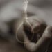 Adityapur-Suicide : आदित्यपुर की कृष्णापुर बस्ती में महिला ने फांसी लगा कर की आत्महत्या, तफ्तीश में जुटी पुलिस Adityapur-Suicide : आदित्यपुर की कृष्णापुर बस्ती में महिला ने फांसी लगा कर की आत्महत्या, तफ्तीश में जुटी पुलिस