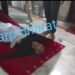 jamshedpur-suicide : बागुनहातु में काली मंदिर के पुजारी ने की फांसी लगाकर आत्महत्या jamshedpur-suicide : बागुनहातु में काली मंदिर के पुजारी ने की फांसी लगाकर आत्महत्या
