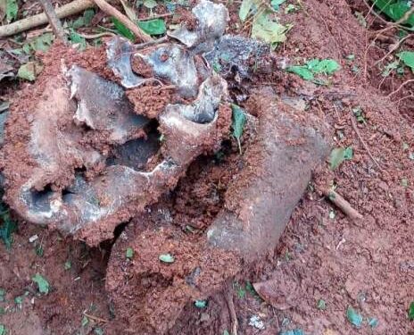 Seraikela-Police-success-against-Naxalites : नक्सलियों के खिलाफ पुलिस को मिली बड़ी सफलता, कुचाई के कड़ेरंगो पहाड़ी से 15 कूकर बम बरामद