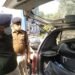 Jamshedpur-Police-Success : पुलिस ने साकची में मोबाइल लूटने व बाइक चोरी करने वाले बड़े गिरोह का किया पर्दाफाश, 7 बदमाश गिरफ्तार, 20 मोबाइल और पांच बाइक बरामद-Video Jamshedpur-Police-Success : पुलिस ने साकची में मोबाइल लूटने व बाइक चोरी करने वाले बड़े गिरोह का किया पर्दाफाश, 7 बदमाश गिरफ्तार, 20 मोबाइल और पांच बाइक बरामद-Video