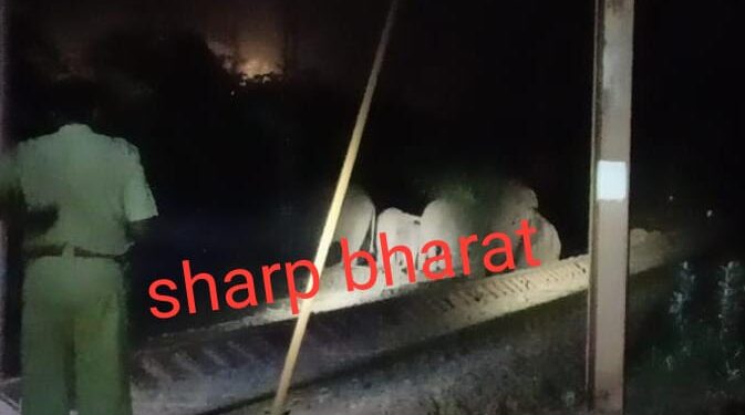 west-singhbhum-elephant-death-पश्चिम सिंहभूम में ट्रेन से कटकर एक हाथी की मौत, दो हाथी जख्मी