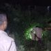 jamshedpur-late-night-breaking-मानगो से अपहृत युवक की हत्या कर झाड़ी में फेंक दी गई थी लाश, देर रात पुलिस ने शव को किया बरामद, आंखे भी हत्यारों ने निकाले, देखिए-video-क्या कह रहे है सिटी एसपी jamshedpur-late-night-breaking-मानगो से अपहृत युवक की हत्या कर झाड़ी में फेंक दी गई थी लाश, देर रात पुलिस ने शव को किया बरामद, आंखे भी हत्यारों ने निकाले, देखिए-video-क्या कह रहे है सिटी एसपी