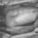 jamshedpur-unknown-body-found-सोनारी में दोमुहानी पुल के नीचे मिला अज्ञात युवक का शव, छानबीन में जुटी पुलिस