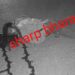 adityapur-kandra-road-accident-आदित्यपुर-कांड्रा रोड में दो अलग-अलग सड़क हादसा, दो युवक घायल, दंपति घायल, नही मिला इलाज का पैसा adityapur-kandra-road-accident-आदित्यपुर-कांड्रा रोड में दो अलग-अलग सड़क हादसा, दो युवक घायल, दंपति घायल, नही मिला इलाज का पैसा