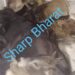 jamshedpur-cow-smuggling-आजादनगर में नौ मवेशियों को ले जा रहा पिकअप वैन धराया, चालक को पकड़कर पुलिस के हवाले किया