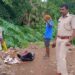Jamshedpur : परसुडीह में जिप उपाध्यक्ष राजकुमार सिंह ने किया जरूरतमंदों के बीच कंबल वितरण Jamshedpur : परसुडीह में जिप उपाध्यक्ष राजकुमार सिंह ने किया जरूरतमंदों के बीच कंबल वितरण
