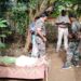 jamshedpur-rural-suicide-चाकुलिया में महिला ने की आत्महत्या, पुलिस जांच में जुटी
