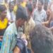 jamshedpur-rural-blind-faith-जमशेदपुर के ग्रामीण इलाके में अंधविश्वास का अदभुत घटना, बच्चे को सांप ने काटा, एमजीएम अस्पताल ने मृत घोषित कर दिया, 36 घंटे से परिवार के लोग शव लेकर मिदनापुर पहुंच गये jamshedpur-rural-blind-faith-जमशेदपुर के ग्रामीण इलाके में अंधविश्वास का अदभुत घटना, बच्चे को सांप ने काटा, एमजीएम अस्पताल ने मृत घोषित कर दिया, 36 घंटे से परिवार के लोग शव लेकर मिदनापुर पहुंच गये