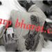 Jamshedpur-Crime : नीलडीह में टाटा स्टील कर्मी पर चाकू से हमला, टीएमएच में भर्ती, हालत गंभीर