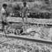 Adityapur-Suicide : आदित्यपुर-गम्हरिया के बीच ट्रेन से कट कर अज्ञात महिला ने की आत्महत्या, शिनाख्त में जुटी पुलिस Adityapur-Suicide : आदित्यपुर-गम्हरिया के बीच ट्रेन से कट कर अज्ञात महिला ने की आत्महत्या, शिनाख्त में जुटी पुलिस