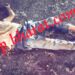 jamshedpur-accident- बागबेड़ा के टाटानगर स्टेशन जाने के रास्ते में सड़क हादसा, परसुडीह के व्यक्ति की मौत jamshedpur-accident- बागबेड़ा के टाटानगर स्टेशन जाने के रास्ते में सड़क हादसा, परसुडीह के व्यक्ति की मौत