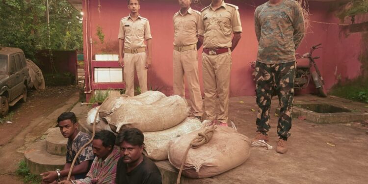 jamshedpur-illegal-liqour-raid-सीतारामडेरा बस टर्मिनस पर आबकारी विभाग का छापा, 350 लीटर महुआ शराब और टेम्पो जब्त, दो गिरफ्तार jamshedpur-illegal-liqour-raid-सीतारामडेरा बस टर्मिनस पर आबकारी विभाग का छापा, 350 लीटर महुआ शराब और टेम्पो जब्त, दो गिरफ्तार