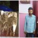Jamshedpur-animal-trafficking : बंगाल बॉर्डर से तीन गोवंशीय पशु मुक्त कराये गये, एक गिरफ्तार, तीन के खिलाफ मामला दर्ज Jamshedpur-animal-trafficking : बंगाल बॉर्डर से तीन गोवंशीय पशु मुक्त कराये गये, एक गिरफ्तार, तीन के खिलाफ मामला दर्ज