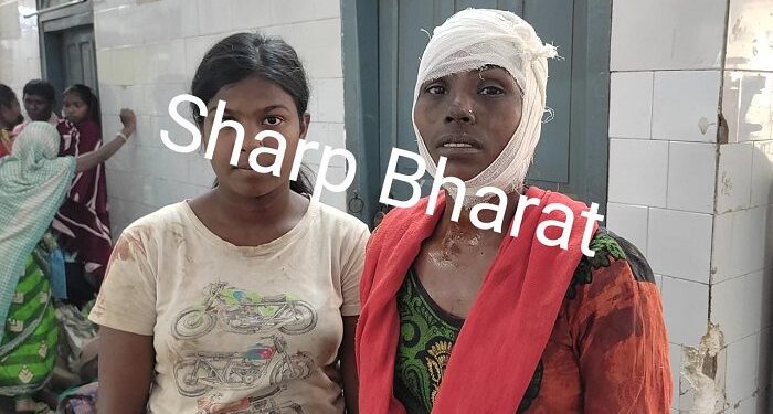 Jamshedpur : बेटी से छेड़खानी का विरोध करने पर बिरसानगर डुंगरी टोला की रहने वाली महिला को शराब विक्रेता ने मारपीट कर किया घायल
