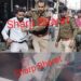 jamshedpur-jewellery-theft-साकची के ज्वेलरी दुकान में चोरी करते धराये दंपत्ति, पुलिस पकड़कर ले गयी, रास्ते से पुलिस की गिरफ्त से भागने की कोशिश, फिर से धराया, पुलिस कर रही पूछताछ, देखिये-video-सीसीटीवी में दिख रहा है चोरी की हरकत-देखिये-video, कैसे पकड़ा गया युवक jamshedpur-jewellery-theft-साकची के ज्वेलरी दुकान में चोरी करते धराये दंपत्ति, पुलिस पकड़कर ले गयी, रास्ते से पुलिस की गिरफ्त से भागने की कोशिश, फिर से धराया, पुलिस कर रही पूछताछ, देखिये-video-सीसीटीवी में दिख रहा है चोरी की हरकत-देखिये-video, कैसे पकड़ा गया युवक