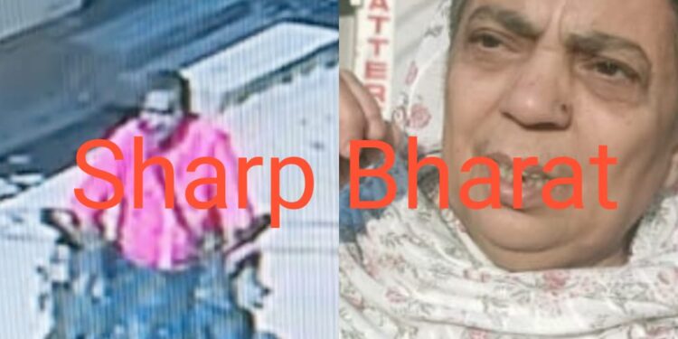 Jamshedpur fraud : आजादनगर में महिला के साथ ठगी, सफाई के नाम पर कान की रिंग व अंगूठी ले उड़े बदमाश-Video