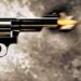 Jharkhand sahibganj incident – साहिबगंज में संपत्ति विवाद को लेकर बेटे ने मां-बाप को मारी गोली, मां की मौत, जानें क्या है मामला