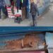Jamshedpur theft – परसुडीह में कांग्रेसी नेता के दुकान में चोरी, सीसीटीवी कैमरा क्षतिग्रस्त करने की कोशिश, देखिए – video