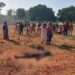 West singhbhum elephant attack – चाईबासा में हाथी का तांडव जारी, फिर से 6 लोगों को कुचलकर मौत के घाट उतारा, बीते एक सप्ताह में 16 लोगों की मौत से ग्रामीणों में दहशत