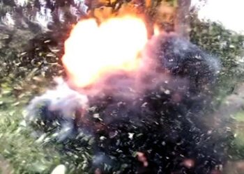 West singhbhum tirildih naxali blast  : सारंडा के तिरिलपोसी जंगल में आइईडी विस्फोट की चपेट में आकर दो ग्रामीण जख्मी, गांव में दहशत का माहौल व्याप्त, दोनों फूल तोड़ने गये थे जंगल