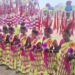 jamshedpur rural sports – हाड़तोपा में दो दिवसीय खेलकूद व फुटबॉल टूर्नामेंट का हुआ समापन, झारखंड सांस्कृतिक नृत्य ने बिखेरी छटा, आधुनिक बूढ़ी गाड़ी नृत्य ने सबका मनमोहा