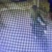 Adityapur crime : आदित्यपुर में भी अपराधियों ने महिला के गले से सोने के चेन छीना, झपट्टा मारकर भागे अपराधी, देखिये – video