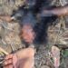 Jharkhand border area body found – ओडिशा सीमा से सटे पोटका जंगल में मिला युवती का जला हुआ शव, हत्या की आशंका