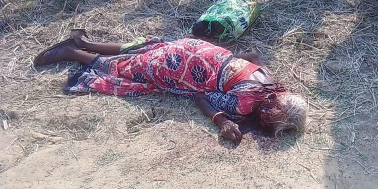 Jamshedpur rural murder – पोटका में डायन के संदेह में वृद्धा की गला रेतकर हत्या
