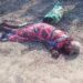 Jamshedpur rural murder – पोटका में डायन के संदेह में वृद्धा की गला रेतकर हत्या
