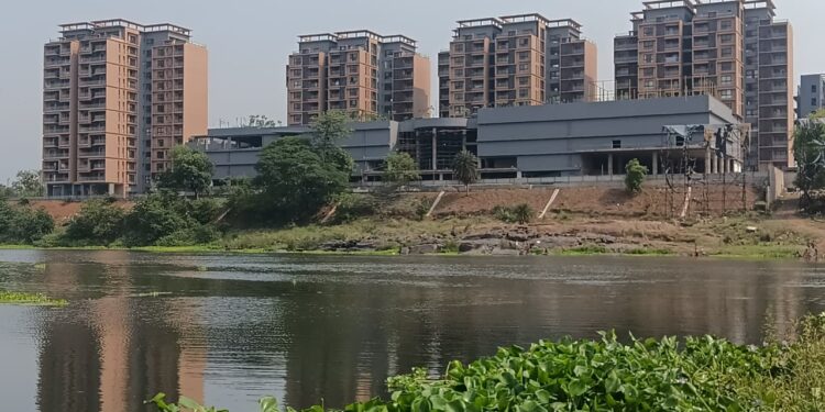 jamshedpur subarnarekha fish dead issue- अब डोबो पुल के पास स्वर्णरेखा में मृत पाई गईं हजारों मछलियां, विधायक सरयू राय ने कहा- एजेंसियां उचित जांच कर जनता को कारण बताएं, देखिए video