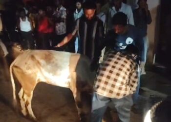 Jamshedpur border area hungama : कपाली में  मवेशी की तस्करी कर ले जाये जा रही गाड़ी को लोगों ने पकड़ा, हंगामा, देखिये – video