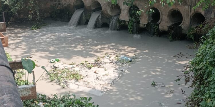 bokaro damodar pollution issue- बोकारो थर्मल पावर स्टेशन फिर से दामोदर को प्रदूषित करने लगाः सरयू राय, बोकारो के उपायुक्त को विधायक ने भेजी बहिस्राव की कई तस्वीरें, देखिए video bokaro damodar pollution issue- बोकारो थर्मल पावर स्टेशन फिर से दामोदर को प्रदूषित करने लगाः सरयू राय, बोकारो के उपायुक्त को विधायक ने भेजी बहिस्राव की कई तस्वीरें, देखिए video