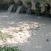 bokaro damodar pollution issue- बोकारो थर्मल पावर स्टेशन फिर से दामोदर को प्रदूषित करने लगाः सरयू राय, बोकारो के उपायुक्त को विधायक ने भेजी बहिस्राव की कई तस्वीरें, देखिए video bokaro damodar pollution issue- बोकारो थर्मल पावर स्टेशन फिर से दामोदर को प्रदूषित करने लगाः सरयू राय, बोकारो के उपायुक्त को विधायक ने भेजी बहिस्राव की कई तस्वीरें, देखिए video