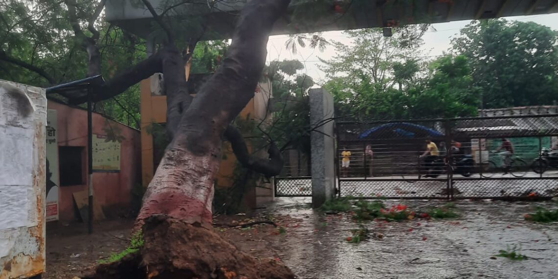 jamshedpur LBSM College- आंधी-तूफ़ान से एलबीएसएम कॉलेज को भारी नुकसान, कई विद्युत उपकरण और इलेक्ट्रॉनिक सामान हुए खराब jamshedpur LBSM College- आंधी-तूफ़ान से एलबीएसएम कॉलेज को भारी नुकसान, कई विद्युत उपकरण और इलेक्ट्रॉनिक सामान हुए खराब