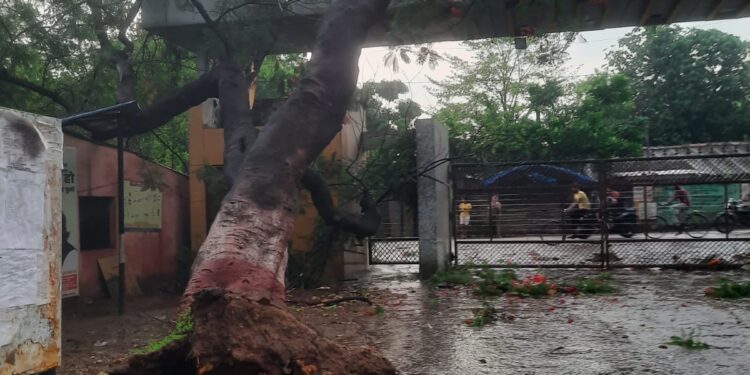 jamshedpur LBSM College- आंधी-तूफ़ान से एलबीएसएम कॉलेज को भारी नुकसान, कई विद्युत उपकरण और इलेक्ट्रॉनिक सामान हुए खराब