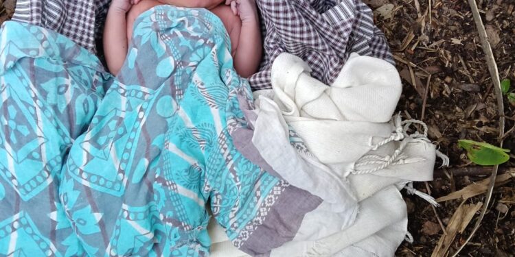 jamshedpur rural abandoned the newborn- पोटका के डोमजूडी में मानवता हुई शर्मसार, कलियुगी मां ने नवजात को खुले आसमान के नीचे छोड़ा, पुलिस ने चाइल्ड हेल्पलाइन को सौंपा