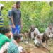 jamshedpur rural-चाकुलिया के हरनिया जंगल में पूजा के बाद सेंदरा के लिए प्रवेश किया सेंदरा वीर