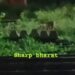 Jamshedpur leopard found : जमशेदपुर पहुंचा तेंदूआ, स्टेशन, गोलपहाड़ी समेत कई इलाके में घुमता दिखा तेंदूआ, सनसनी, देखिये – video