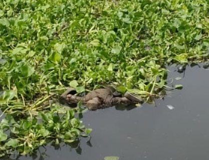 Jamshedpur body found – मानगो में अज्ञात व्यक्ति का शव मिलने से सनसनी, मृतक की शिनाख्त में जुटी पुलिस