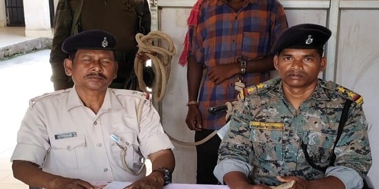 West singhbhum murder accused arrested : प सिंहभूम के टोंटो क्षेत्र में युवती की हत्या का मुख्य आरोपी गिरफ्तार, पुलिस ने त्वरित कार्रवाई करते हुए मामले का किया खुलासा