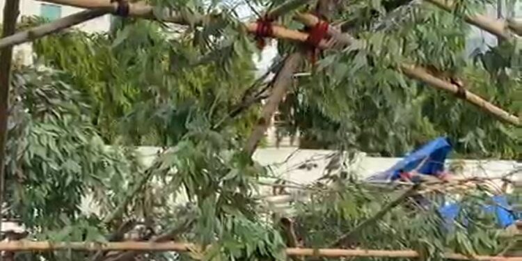 Jamshedpur  tree falls on workers : साकची में शनिवार शाम आई तेज आंधी से तीन श्रमिकों पर गिरा पेड़, स्थानीय लोगों ने उठा कर इलाज के लिए भेजवाया.