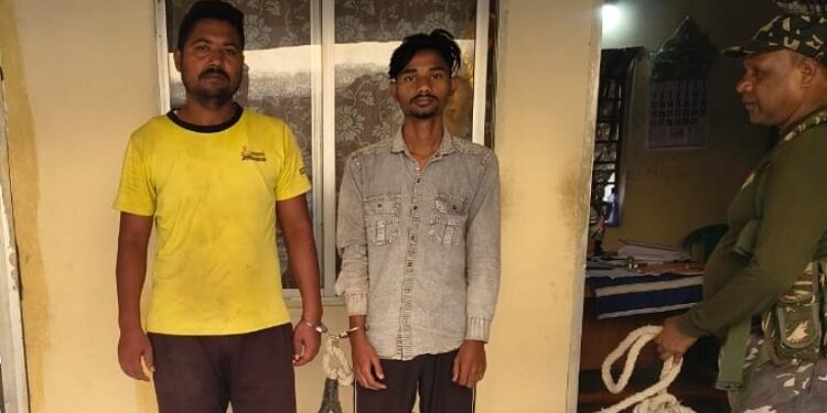 Jamshedpur rural two cattle thieves arrested : बोड़ाम क्षेत्र में गौवंशीय पशु तस्करी के दो आरोपी गिरफ्तार, चोरी कर ले जाए जा रहे दो गौ वंशीय पशु बरामद, बोड़ाम पुलिस ने गुप्त सूचना के आधार पर की कार्रवाई Jamshedpur rural two cattle thieves arrested : बोड़ाम क्षेत्र में गौवंशीय पशु तस्करी के दो आरोपी गिरफ्तार, चोरी कर ले जाए जा रहे दो गौ वंशीय पशु बरामद, बोड़ाम पुलिस ने गुप्त सूचना के आधार पर की कार्रवाई